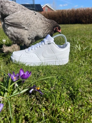 Nike Air Force 1 vita sneakers - Säljer nu dessa pärlor, Nike Air Force 1. Köpta 2022 men användes aldrig. Riktigt snygga och passar perfekt nu till våren och sommaren med ett par vita sneakers! Tveka inte på att höra av dig om du har några frågor!✨