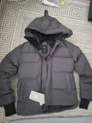 Mörkgrå Canada Goose med huva - Snygg mörkgrå dunjacka från Canada Goose med stor huva och svarta muddar. Jackan har en quiltad design, dragkedja och tryckknappar framtill samt två sidofickor. Perfekt för kalla vinterdagar och riktigt varm.