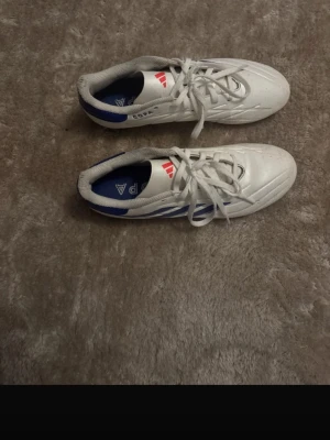 Adidas Copa vita fotbollsskor - Säljer ett par vita Adidas Copa fotbollsskor med blå och röda detaljer. Skorna har klassisk snörning, låg profil och dobbar i plast för spel på gräs. Tillverkade i syntetmaterial med bekväm innersula och sportig design. Perfekta för dig som vill sticka ut på planen.