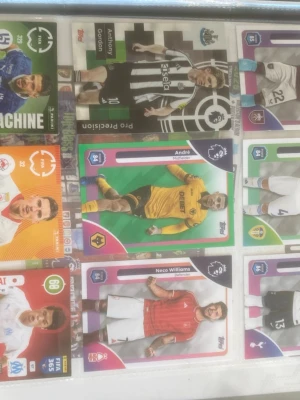 Premier League samlarkort i plastficka - Säljer en sida med Premier League samlarkort från Topps, snyggt organiserade i en plastficka. Kort med spelare i olika matchställ och färger, bland annat Wolverhampton, Newcastle och Nottingham Forest. Perfekt för dig som gillar fotboll och att samla på kort.