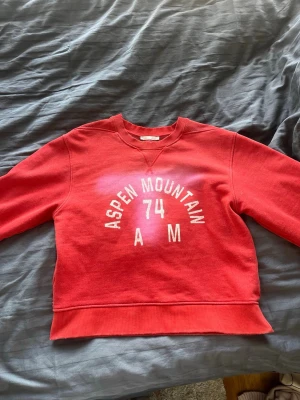 Röd sweatshirt Aspen Mountain - Cool röd sweatshirt med tryck både fram och bak. Tröjan har rund hals och ribbade muddar. Säljer då den inte kommer till användning, lite synd eftersom jag tycker om den mycket💘det är storlek L men den är lite liten i storleken skulle jag säga så den passar L och även M och S🥰