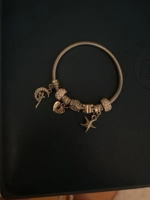 Silverfärgat charmarmband med berlocker - Ett pandora liknande armband! Snyggt silverfärgat armband med flera berlocker, bland annat en måne med stenar, ett hjärta med texten 'LOVE', en sjöstjärna och en blomma. Armbandet har pärldetaljer och är gjort i metall. Perfekt för dig som gillar personliga accessoarer. Helt ny! Från Spanien!