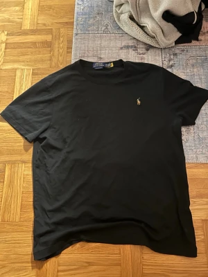 Polo Ralph lauren T-shirt - Säljer min polo T-shirt då jag fick den i present men den var för stor för mig så därför säljer jag den har aldrig använt den förutom när jag testa den skriv ifall ni har några frågor.                                                     Mvh Vilgot 