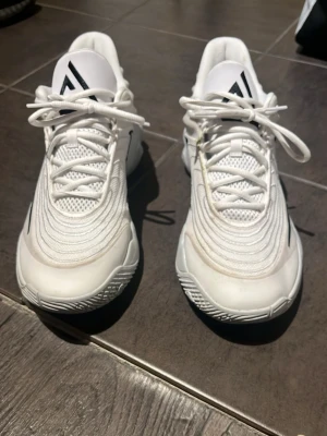 Giannis Immortality 4 - Säljer ett par basket skor. Storlek 45. Lite smutsiga. Nypris 800kr. Mitt pris 400kr. Hör av er vid frågor.