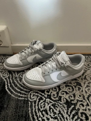 Nike Dunks skor  - Använder ej längre, Storlek 41 