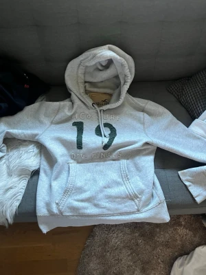 Ljusgrå hoodie från Hollister - Ljusgrå hoodie från Hollister med tryck 'HCO SURF 19 DIV. FINALS' på bröstet. Klassisk känguruficka framtill och justerbar huva. Mjuk insida och ribbade muddar. Perfekt för en avslappnad stil.