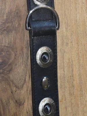 Halsband hund - Häftigt halsband till hund. Mått 52 cm. Använts ett fåtal gånger