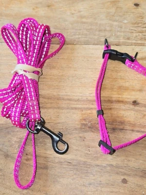 Hund / katt tillbehör  - Koppel & halsband i rosa till katt el hundvalp. Använt vid få tiilfällen då min hund växte så forrät