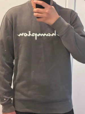 Grå stickad tröja från Champion - Snygg grå  tröja från Champion med det klassiska logotyptrycket i vitt och rött på bröstet. Tröjan har rund halsringning, långa ärmar och ribbade muddar vid ärmslut och nederkant. Perfekt för en avslappnad och sportig stil. Köptes för 500kr men säljer för 300 eftersom jag köpte fel storlek. Kan bara mötas och gärna runt Farsta!