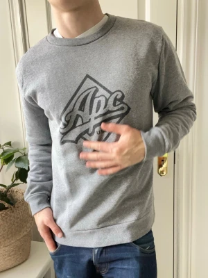 Apc sweatshirt L - Apc sweatshirt L, stor på modellen. Inga defekter! Modellen i bilderna är 180 cm 75 kg och bär Storlek , Kom med frågor! 🌟 (Kan gå ned i pris vid köp av paket 😉) 