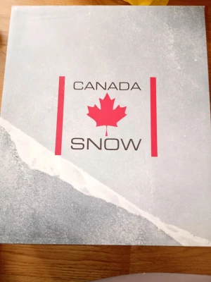 Svarta stövletter från Canada Snow - Säljer ett par svarta oanvända stövletter från Canada Snow med chunky sula och dragkedja framtill. Tillverkade i slätt skinn med robust klack och grovt mönstrad yttersula för extra grepp. Snygg och modern design som passar till många olika outfits.