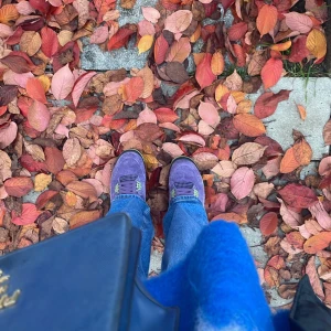 Jordan 4s  - Säljer mina Jordan 4or i Canyon purple. Absolut älskat dessa men har ingen användning för dom längre. Kommer med box och kvitto och är i utmärkt skick! 