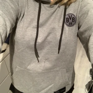 BVB hoodie❤️‍🔥 - Superfin grå hoodie från BVB. Ganska liten i storleken❤️‍🔥. OBS ingen fläck på första bilden utan vatten.