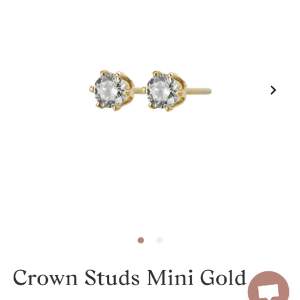 ”Crown studs mini gold” från Edblad. Använda en gång💛