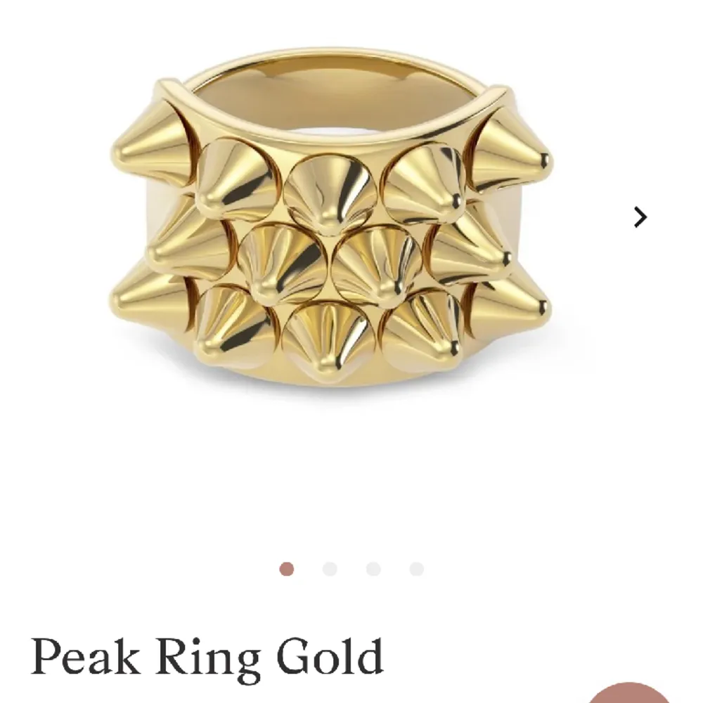 Peak Ring Gold från ebdlad🩷Inga defekter, som ny!! Kommer inte till användning🩷. Accessoarer.