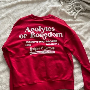 Sweatshirt från Zara - Sweatshirt med tryck från Zara. Kommit till användning en gång så därav det utmärkta skicket!☺️Priset kan diskuteras.