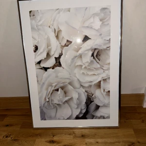 Ramar i guld och silver 50x70 - Fina ramar finns två i silver och tre i guld går att köpa separat   