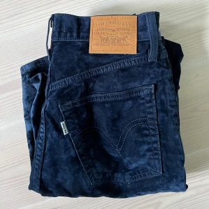 Levi’s, blue velvet, ribcage - Levi’s, ribcage, blue velvet, nyskick