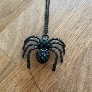 Spindel halsband 🕷️  - Ett halsband med en svart spindel på! Går att justera längd