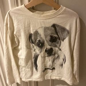 Jätte fin hund tröja  - Denna jätte gulliga hund tröjan kommer från zara använd minst 10 gånger men är i jätte bra form tryck gärna på köp ❤️❤️❤️