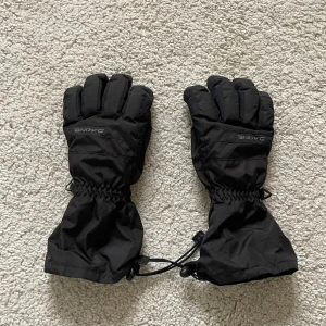 Dakine gloves - Black dakine skii gloves Open for offers :)