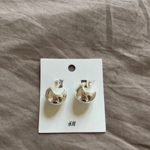 Slutsålda örhängen från H&M - Provade men aldrig använda. 