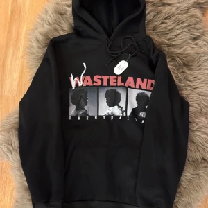 Brent Faiyaz Wasteland Hoodie - Nypris 689kr  Storlek M men passar bättre om man har S! Helt ny!