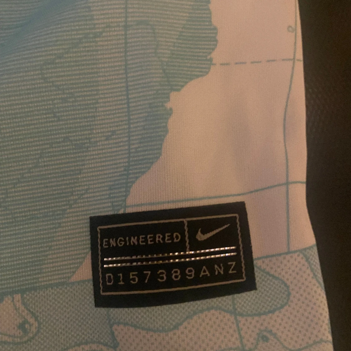 Inter Milan tröja  - 2