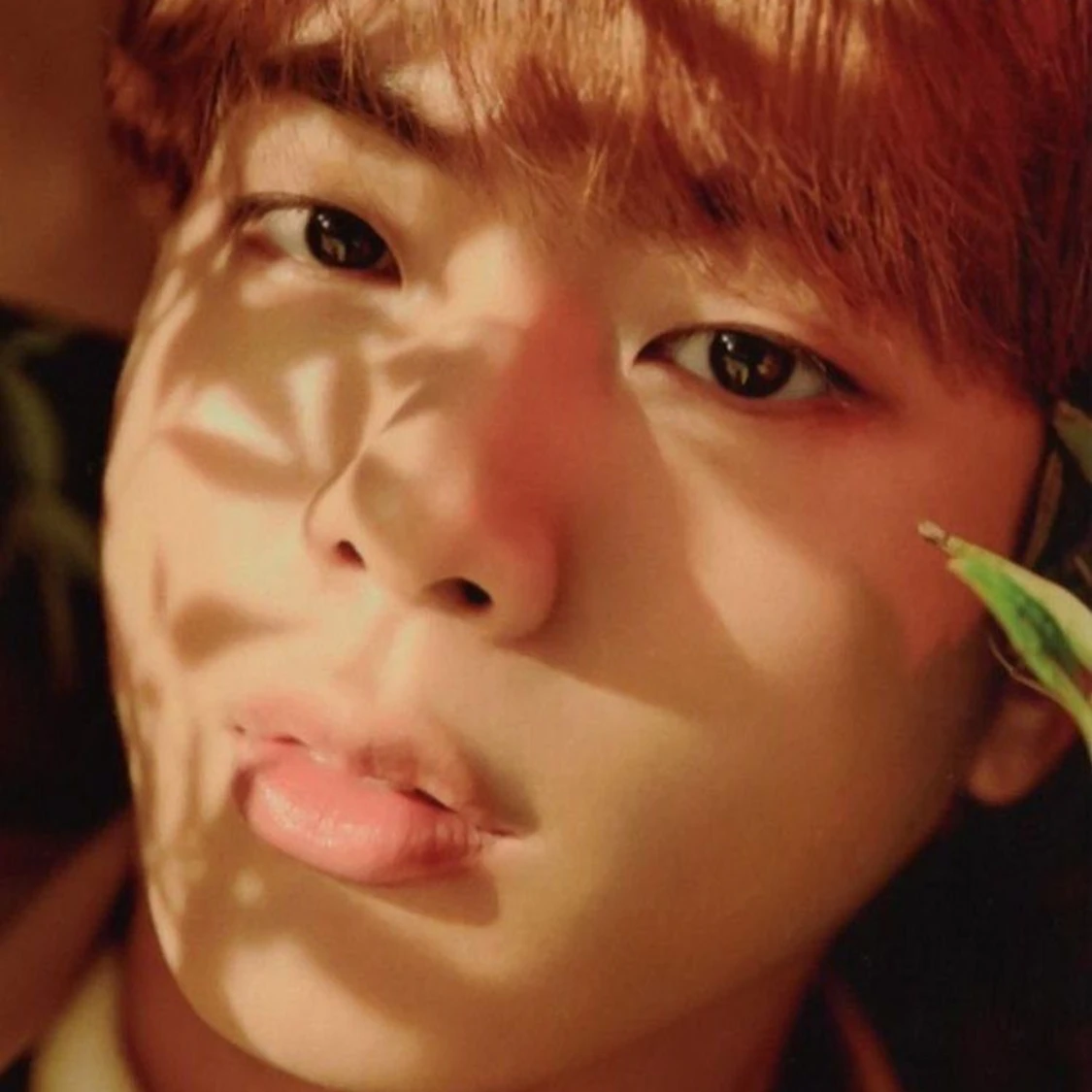 BTS Jin photocard  - 91