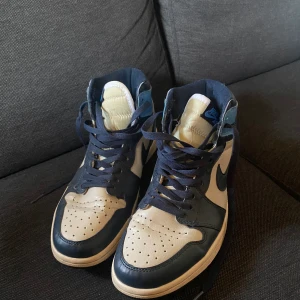 Herr skor  - Jordan mid i storlek 42