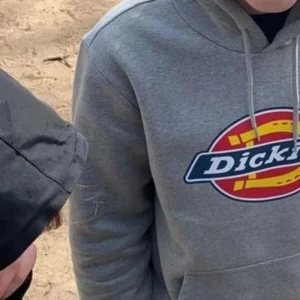 Dickies - Grå Dickies tröja, i gott skick - 9/10.  Inköpt för två år sedan.  utskriften raderas inte.🌠