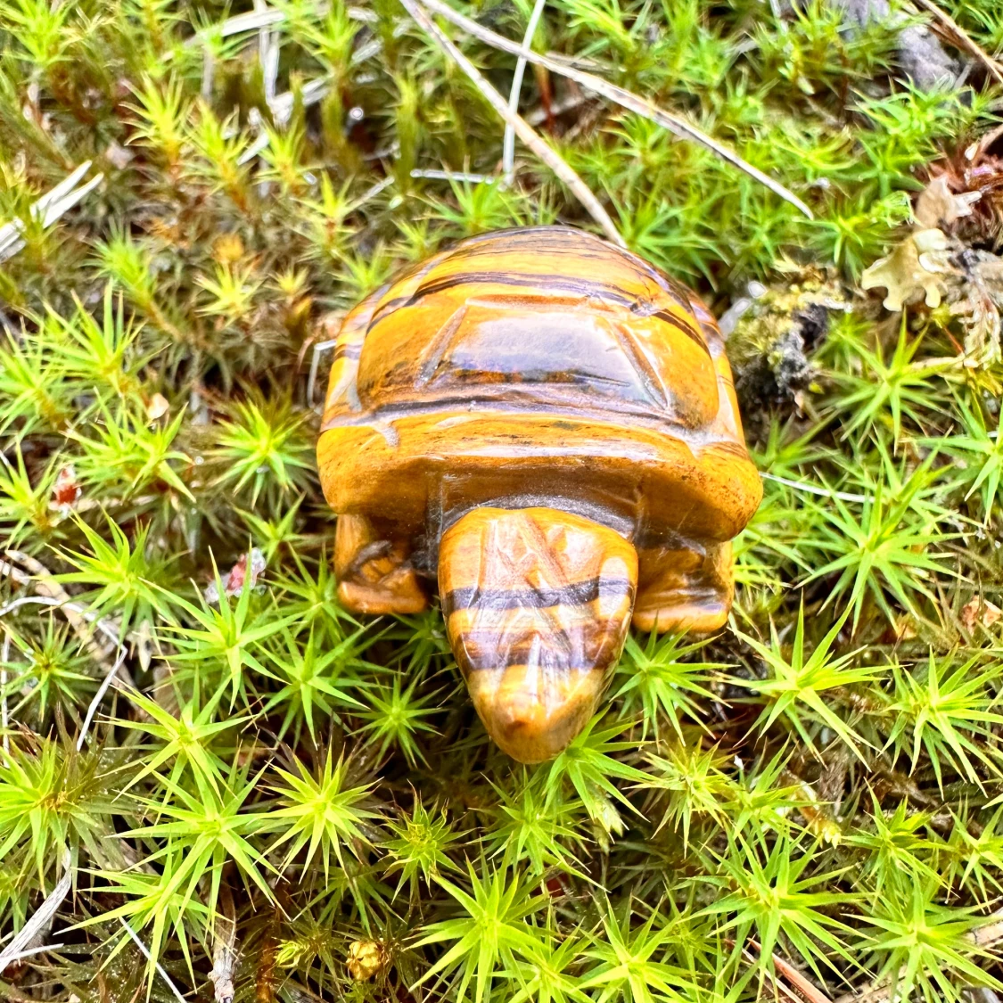 Handgjord naturell tigerögat mineral sköldpadda  - 90