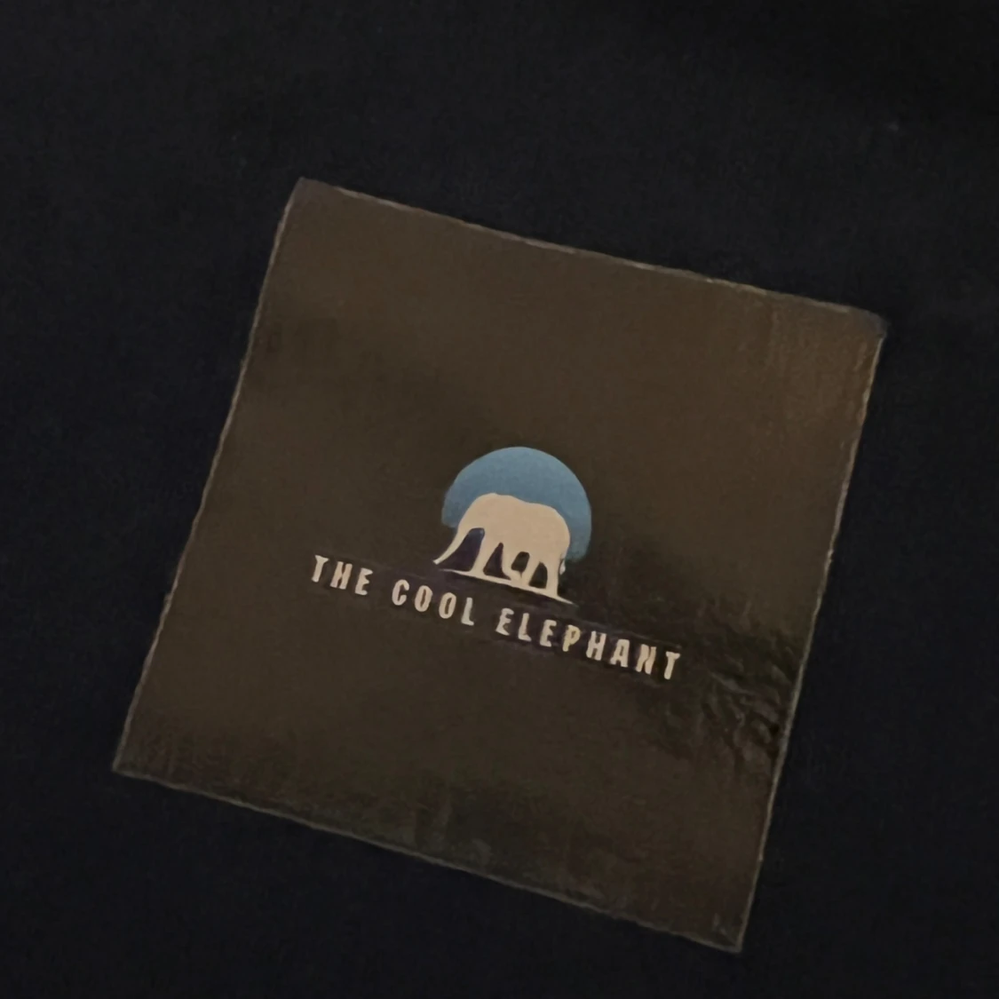TheCoolElephant hoodie  - 91