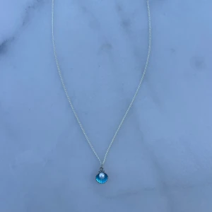 Halsband  - Ett silvrigt halsband med en blå snäcka🤍 Size: S, 35cm (Justerbar, kedja av mässing)