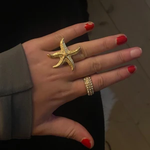 Ring - SUPER SNYGG ring!! Den är rostfri o skysterbar 