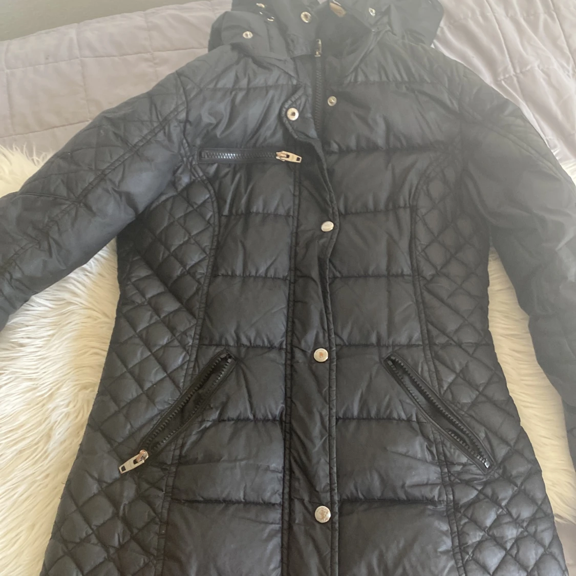 Rock and blue jacket