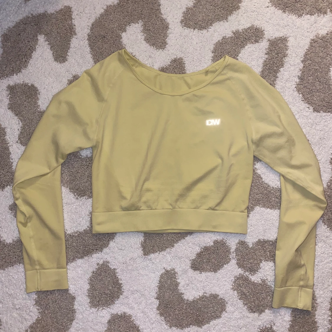 ICIW träningströja 