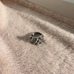 Edblad taggtring  - Säljer min oanvända Edbaldring. Fint skick och har alla piggar kvar. Säljer då den inte passar till mina andra smycken💞