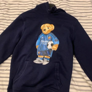 Polo bear hoodie - knappt använd pga att det är djurgården på hoodien och jag gillar aik