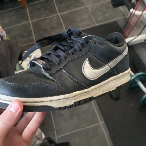 Nike dunk  - Ett par Nike dunk Diamond strl 40 