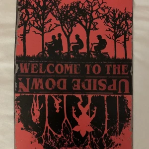 Stranger things skylt - Är som ny har endast stått på hyllan. Säljer för 40kr 