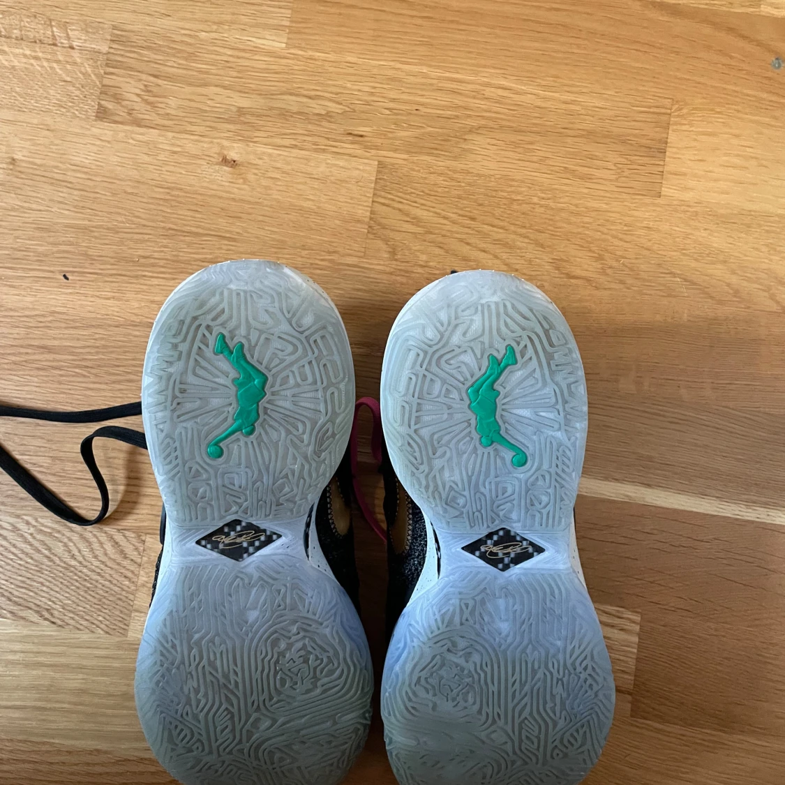 Basketskor Lebron 20 - 91