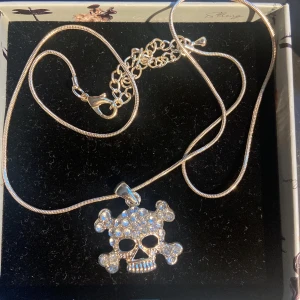 Halsband  - Silverhalsband, justerbar längd på kedjan, rostfritt stål!