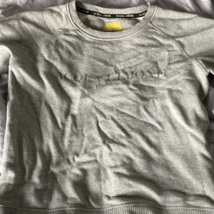 Acqua limone tröja i storlek M - Grå sweatshirt i storlek M. Fint skick