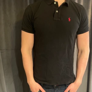 Ralph Lauren pike - Ralph Lauren pike  8/10 skick