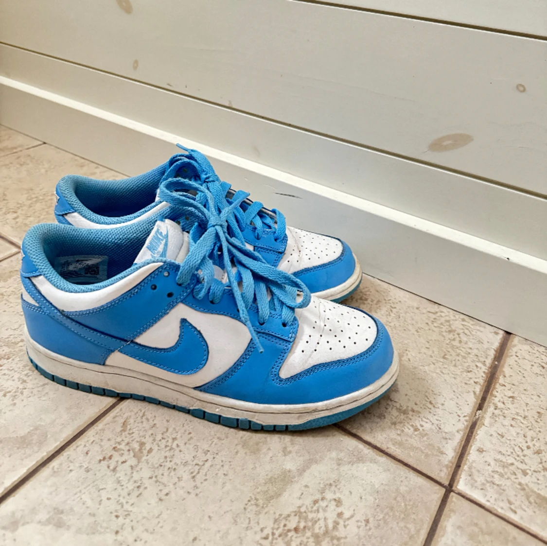 Dunks unc low 