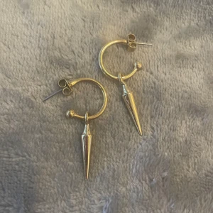 Nit örhängen - Säljer nu mina guldiga nitörhängen från Kappahl. Kommer inte till användning. Kontakta vid intresse!