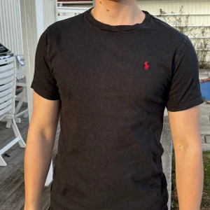 Ralph Lauren t-shirt - T-shirt från Ralph Lauren. Egentligen barn/ungdom storlek L men passar vuxen S