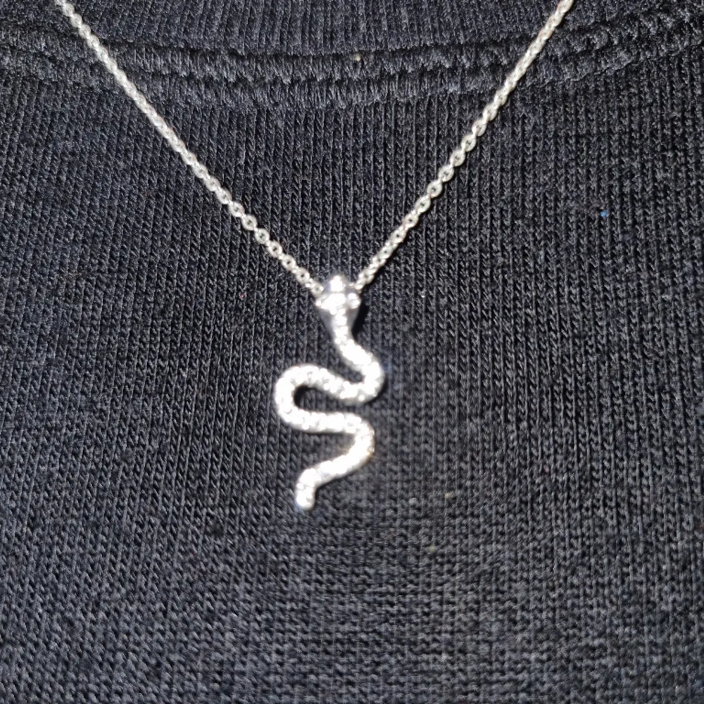 Ett jätte gulligt silvrigt halsband med en orm på. Säljer på grund av att den aldrig används💞. Accessoarer.