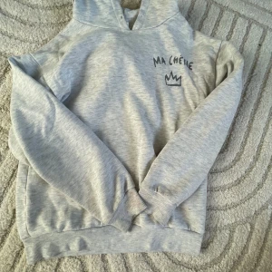 Grå hoodie med text - En grå hoodie med text både fram och bak. Den har en liten rosa fläck på armen men inget man tänker på. Säljer pga att den är för liten